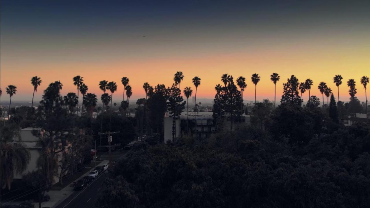 Holywood Hills !!! 2Bed Studio !!! Leilighet Los Angeles Eksteriør bilde